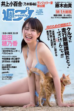 小猪宝贝国语电视剧